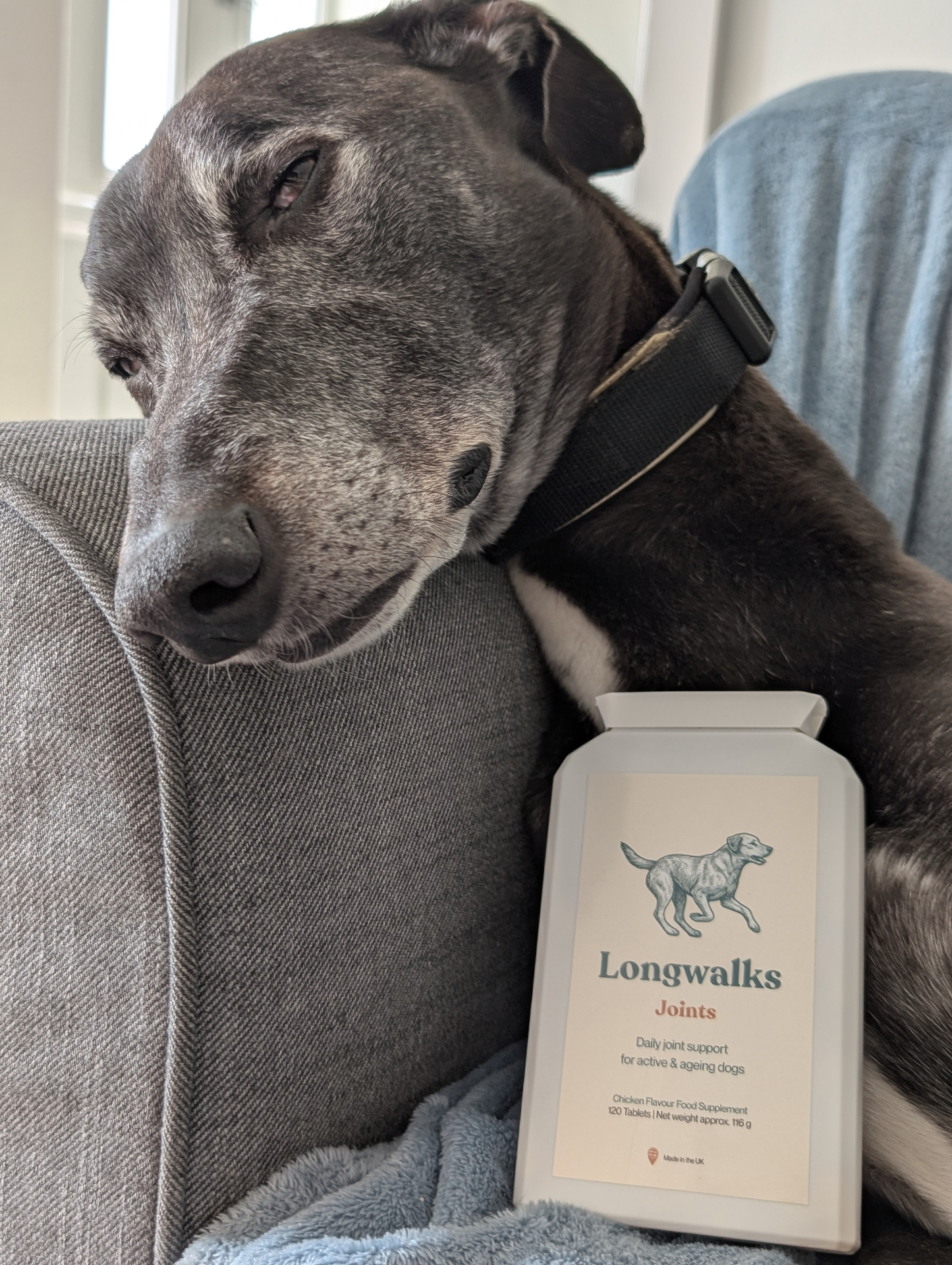 Buddy beside a Longwalks Joints tub